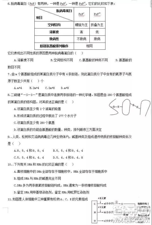 哈六中2021届高一上学期12月月考生物试卷及答案 哈六中2021届高一上学期12月月考生物试卷及答案