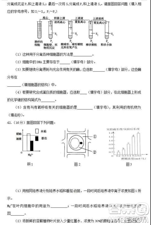 哈六中2021届高一上学期12月月考生物试卷及答案 哈六中2021届高一上学期12月月考生物试卷及答案
