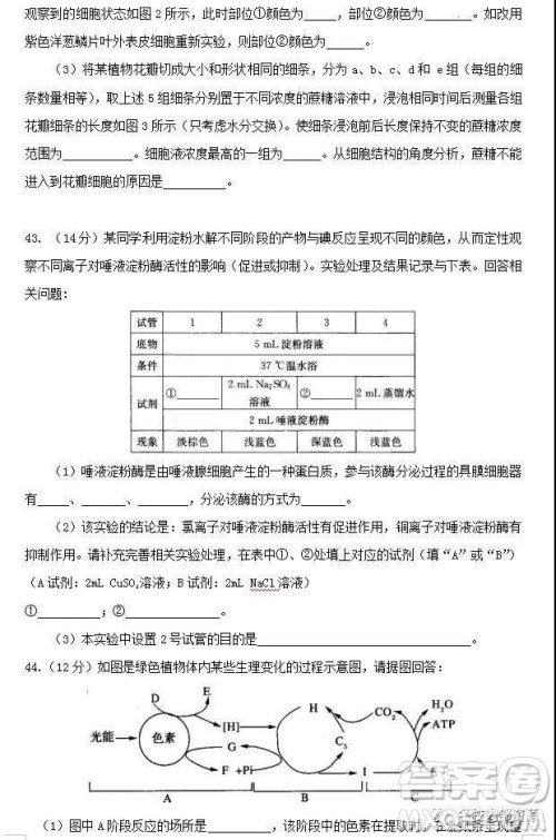 哈六中2021届高一上学期12月月考生物试卷及答案 哈六中2021届高一上学期12月月考生物试卷及答案