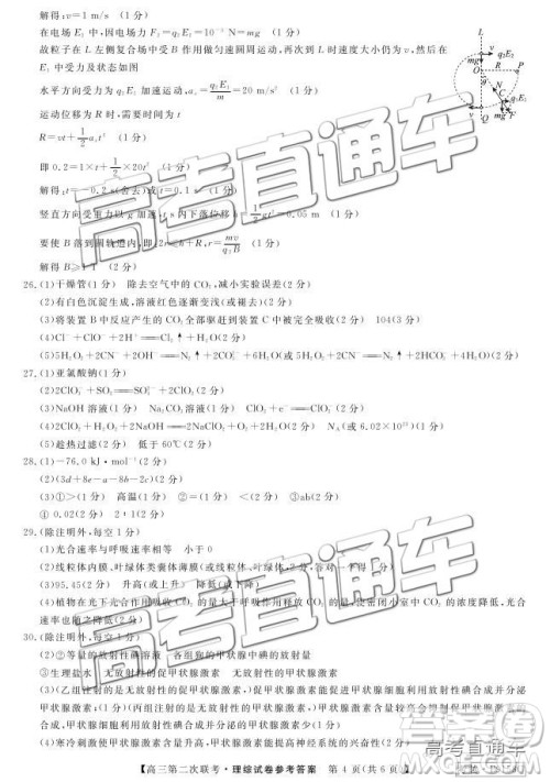 皖南八校2019届高三第二次联考理综试题及参考答案 皖南八校2019届高三第二次联考理综试题及参考答案