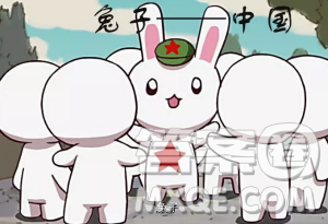 2018高中生关于种花家那年那兔那些事观后感1000字最新