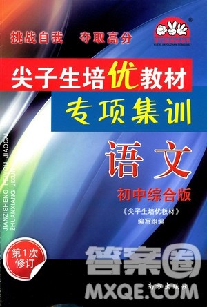 学习加油站丛书2018年尖子生培优教材专项集训语文初中综合版参考答案
