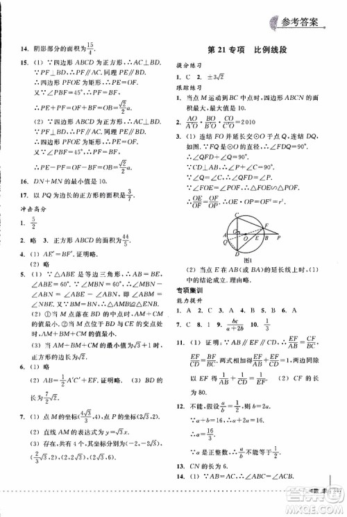 2018年尖子生培优教材专项集训数学初中综合版参考答案