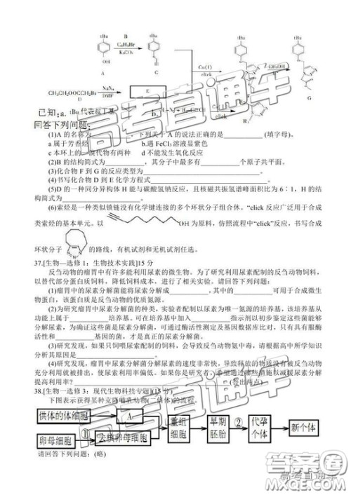 2019凉山一诊高三理综试题及参考答案 2019凉山一诊高三理综试题及参考答案