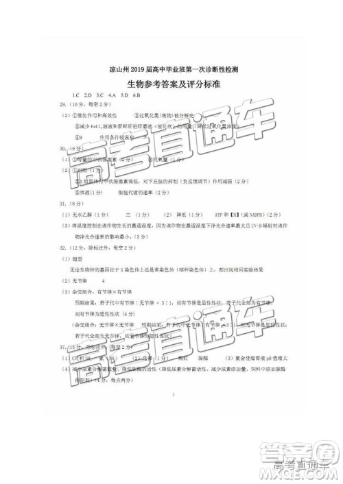 2019凉山一诊高三理综试题及参考答案 2019凉山一诊高三理综试题及参考答案