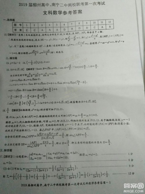 2019广西柳州高中、南宁二中两校联考文数试题及参考答案