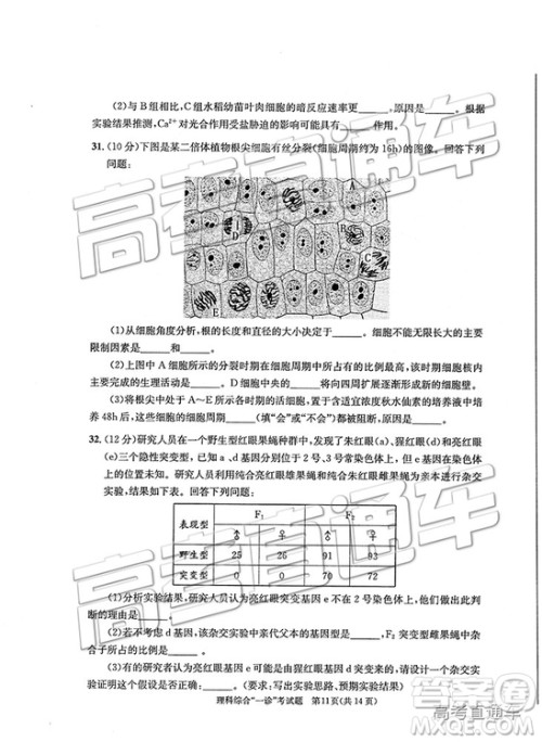 2019成都一诊理综试题及参考答案