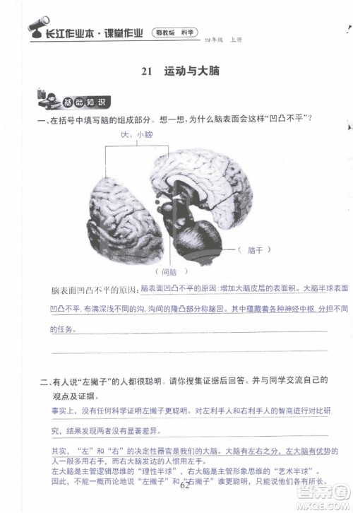 9787535182647长江作业本同步练习册四年级上册科学鄂教版参考答案