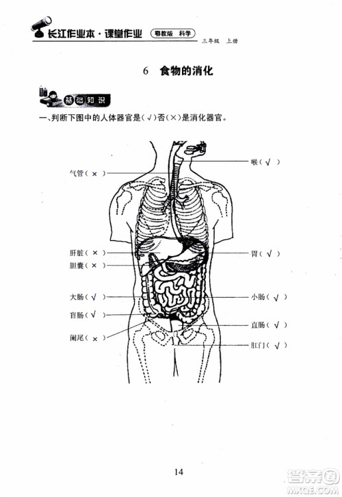 2018年长江作业本课堂作业科学三年级上册鄂教版参考答案