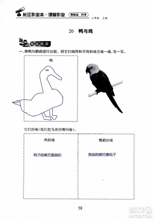 2018年长江作业本课堂作业科学三年级上册鄂教版参考答案 2018年长江作业本课堂作业科学三年级上册鄂教版参考答案