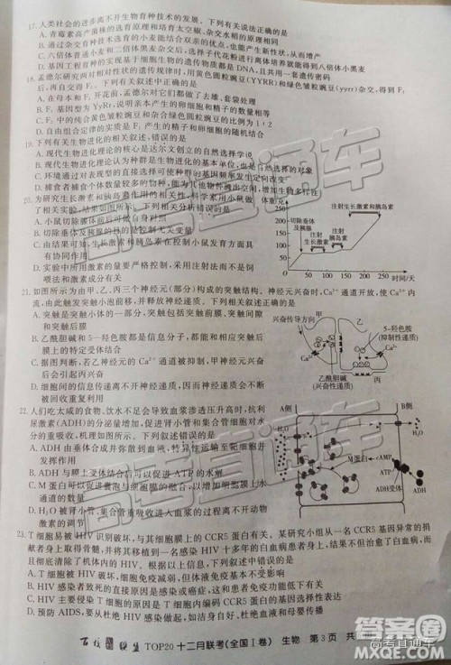 百校联盟2019届TOP20十二月联考全国Ⅰ卷生物试卷及参考答案 百校联盟2019届TOP20十二月联考全国Ⅰ卷生物试卷及参考答案