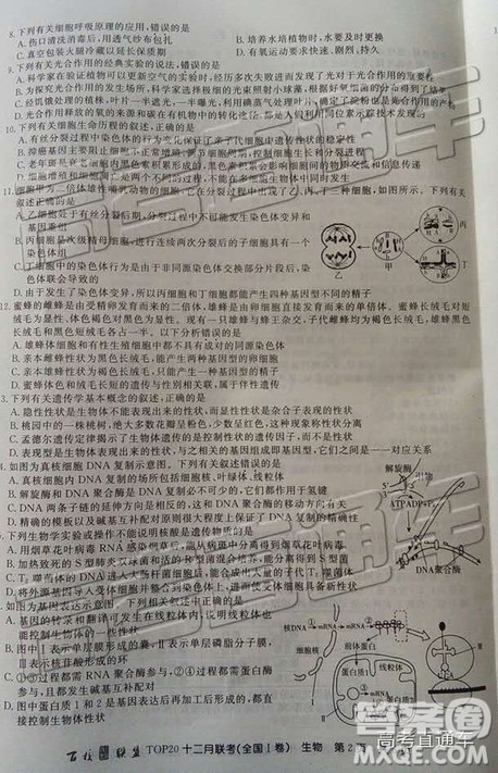百校联盟2019届TOP20十二月联考全国Ⅰ卷生物试卷及参考答案 百校联盟2019届TOP20十二月联考全国Ⅰ卷生物试卷及参考答案