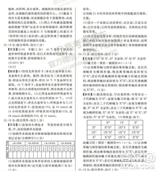 百校联盟2019届TOP20十二月联考全国Ⅰ卷生物试卷及参考答案 百校联盟2019届TOP20十二月联考全国Ⅰ卷生物试卷及参考答案