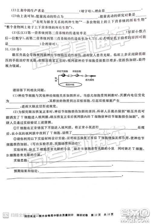 博雅闻道衡水金卷2019届高三第三次联合质量测评理综答案