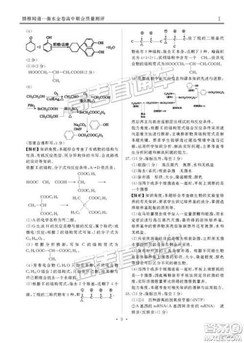 博雅闻道衡水金卷2019届高三第三次联合质量测评理综答案