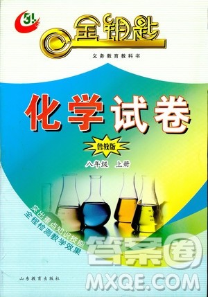  9787532873425化学八年级上册鲁教版五四制金钥匙试卷2018秋答案