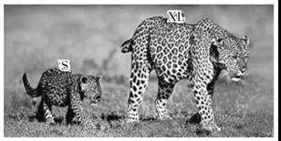 贵州省都匀市第一中学2018-2019学年高二12月月考语文试题及答案 贵州省都匀市第一中学2018-2019学年高二12月月考语文试题及答案