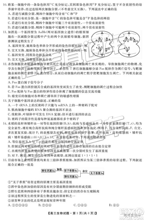 2019湖南省三湘名校教育联盟高三第二次大联考理综试题及参考答案 2019湖南省三湘名校教育联盟高三第二次大联考理综试题及参考答案