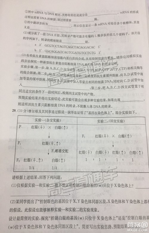 2019届江南十校高三第二次大联考生物试题及参考答案 2019届江南十校高三第二次大联考生物试题及参考答案