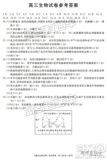 山西金太阳百校联考百千联考104C2019届高三理综参考答案 山西金太阳百校联考百千联考104C2019届高三理综参考答案