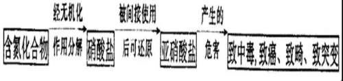 湖北省武汉市部分市级示范2019届高三12月联考语文试卷及答案