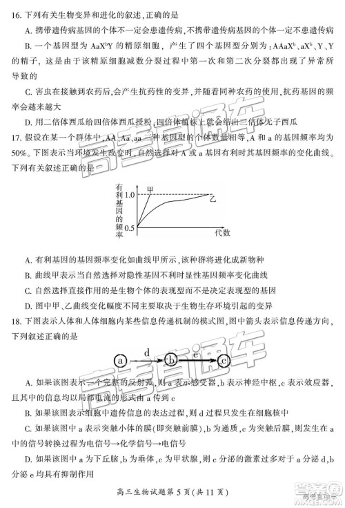 2019届湖南省郴州市高三第一次质量检测理综试题及参考答案 2019届湖南省郴州市高三第一次质量检测理综试题及参考答案