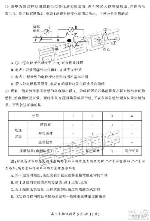 2019届湖南省郴州市高三第一次质量检测理综试题及参考答案