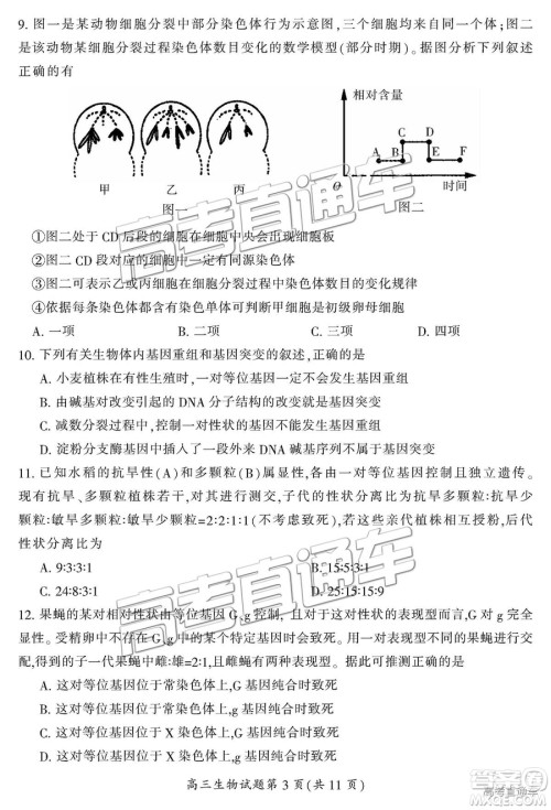 2019届湖南省郴州市高三第一次质量检测理综试题及参考答案 2019届湖南省郴州市高三第一次质量检测理综试题及参考答案