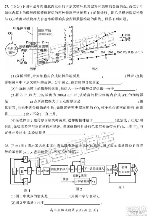 2019届湖南省郴州市高三第一次质量检测理综试题及参考答案