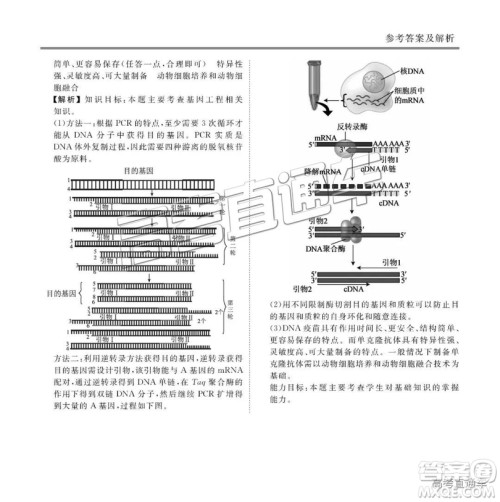 博雅闻道衡水金卷2019届高三第三次联合质量测评理综答案