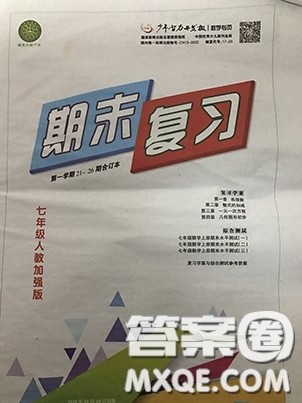 少年智力开发报数学专页2018-2019七年级人教版加强版期末复习答案2