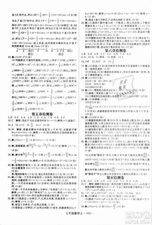 北师大版学练优优翼丛书2018新版核心素养提升训练数学BS七年级上册答案