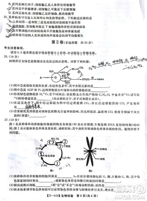 2019届安徽江淮名校高三12月联考生物试卷及答案 2019届安徽江淮名校高三12月联考生物试卷及答案