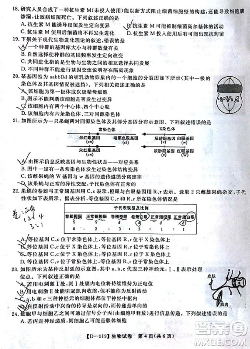 2019届安徽江淮名校高三12月联考生物试卷及答案