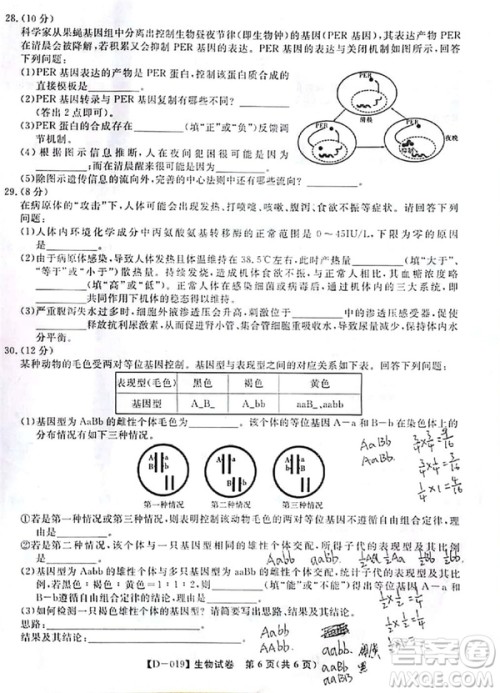 2019届安徽江淮名校高三12月联考生物试卷及答案