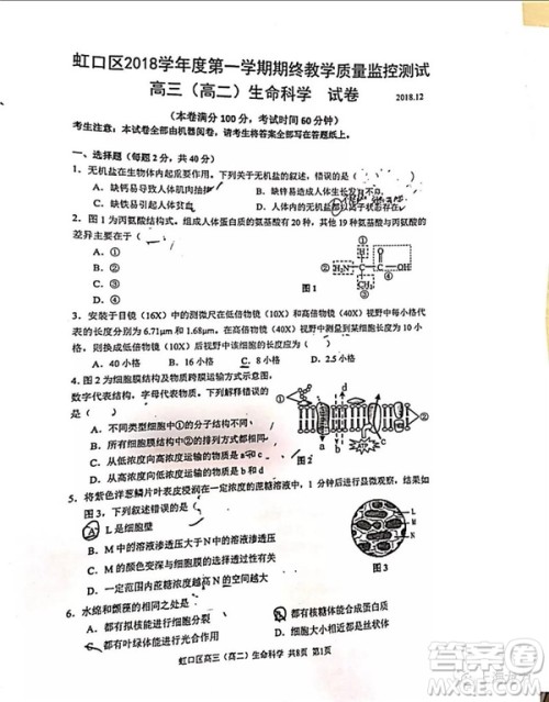 2019届上海虹口高三一模生命科学试卷答案