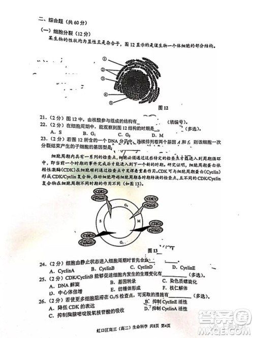 2019届上海虹口高三一模生命科学试卷答案