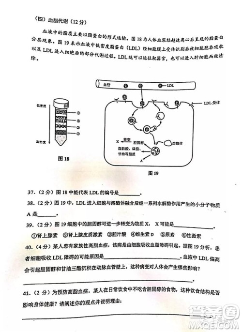 2019届上海虹口高三一模生命科学试卷答案