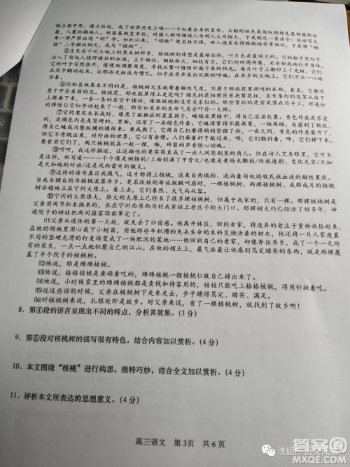 2019届上海松江高三语文一模试卷及答案