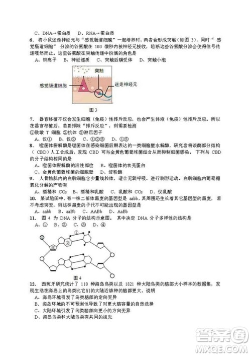 2019届上海崇明高三生物一模试卷答案