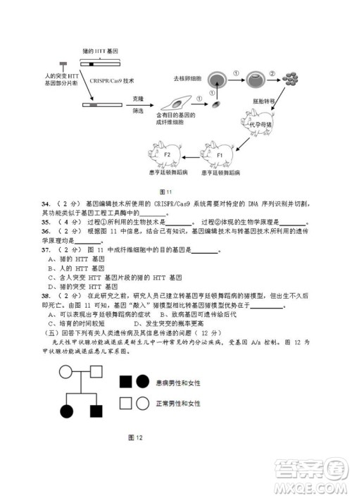 2019届上海崇明高三生物一模试卷答案