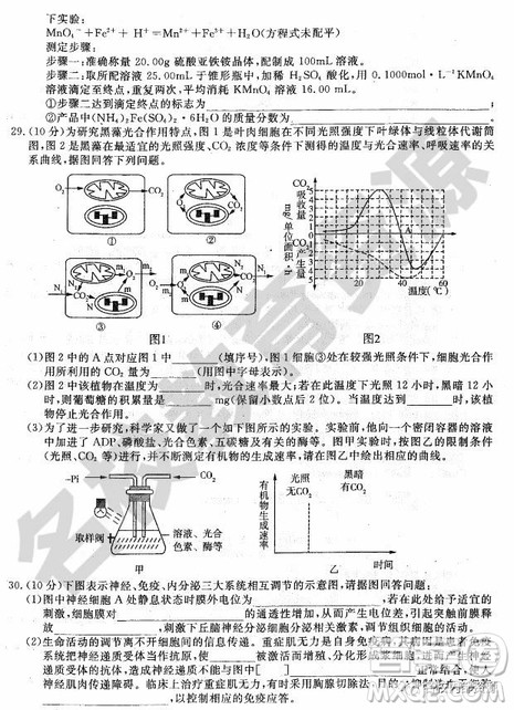 哈师大附中2018-2019学年度高三上期末考试理科综合试卷及答案