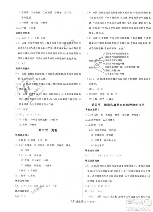 9787543083738优翼丛书2018秋学练优8年级上册RJ人教版答案