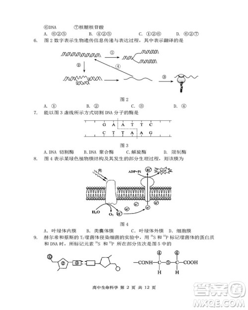 2019届上海金山高三一模生物试卷答案 2019届上海金山高三一模生物试卷答案