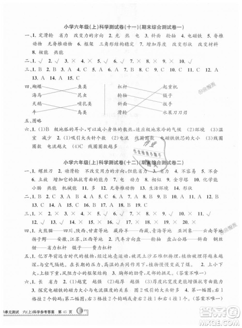 孟建平系列丛书2018年教科版小学单元测试卷六年级上科学9787517809302答案