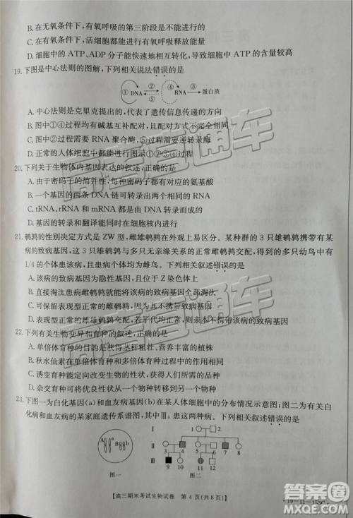 2019辽阳高三期末考试理综试卷及答案解析 2019辽阳高三期末考试理综试卷及答案解析