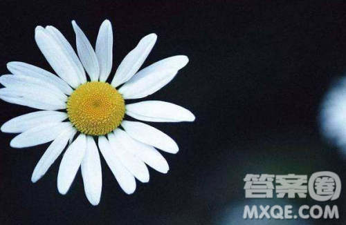 2018-2019贵阳市八年级上学期期末考试英语答案 2018-2019贵阳市八年级上学期期末考试英语答案