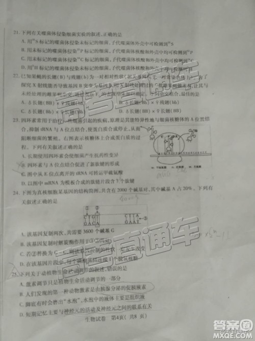 泉州市2019届普通高中毕业班单科质量检查生物试卷及答案解析 泉州市2019届普通高中毕业班单科质量检查生物试卷及答案解析