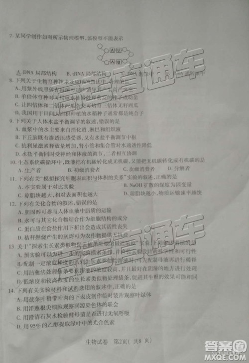 泉州市2019届普通高中毕业班单科质量检查生物试卷及答案解析 泉州市2019届普通高中毕业班单科质量检查生物试卷及答案解析