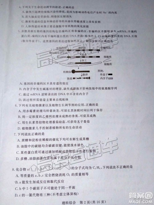 汕尾市普通高中2019年1月高三教学质量检测理综试卷及答案